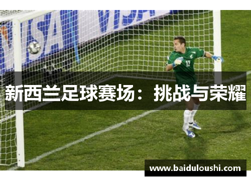 新西兰足球赛场：挑战与荣耀