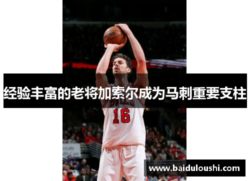 经验丰富的老将加索尔成为马刺重要支柱