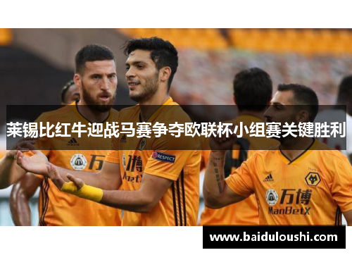 莱锡比红牛迎战马赛争夺欧联杯小组赛关键胜利
