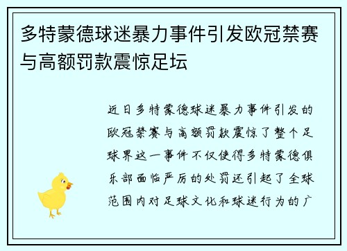 多特蒙德球迷暴力事件引发欧冠禁赛与高额罚款震惊足坛
