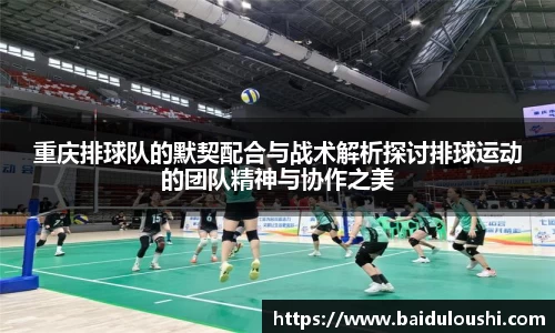 重庆排球队的默契配合与战术解析探讨排球运动的团队精神与协作之美